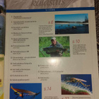 Perhokalastus 5/2006 - pikkukuva 3