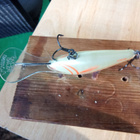 Salmo Floating Hornet 6 - pikkukuva 4