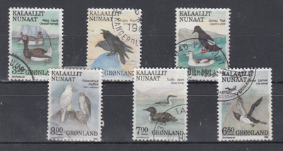 GRÖNLANTI lintuja 1988-1989
