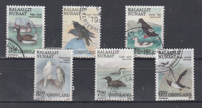 GRÖNLANTI lintuja 1988-1989