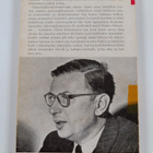 Jean-Paul Sartre : Sanat - pikkukuva 2