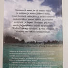 Anna-Kaisa Linna-Aho : Myrskylasi - pikkukuva 2