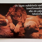 "Leijonat nukkumassa"-KULKEMATON POSTIKORTTI - pikkukuva 1