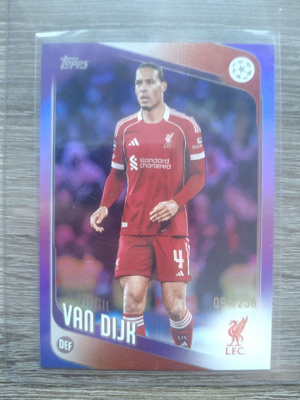 Virgil Van Dijk numeroitu 94/250