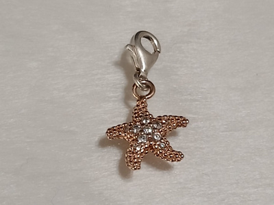 Hopea Thomas Sabo Charm Club meritähti hela