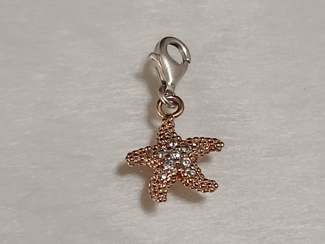 Hopea Thomas Sabo Charm Club meritähti hela