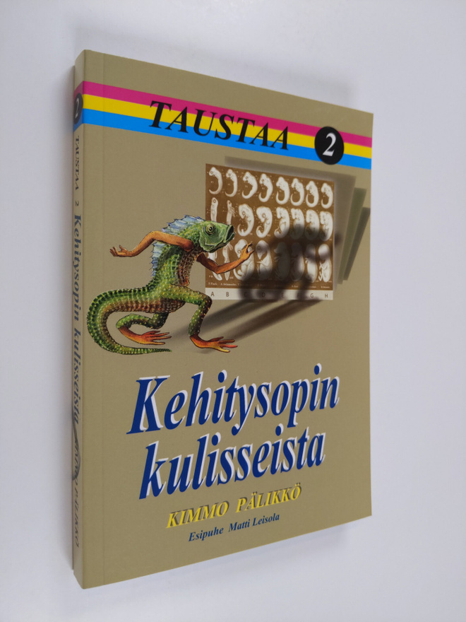 Kimmo Pälikkö : Taustaa 2 : Kehitysopin kulisseista