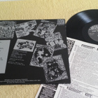 THE TRYFLES - The Tryfles LP - pikkukuva 2