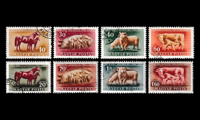 Unkari 1150-7 o Eläinjalostuksen edistäminen (1951)