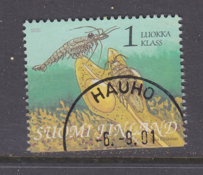 2001 Suomenlahtivihosta loistoleimainen. (4)