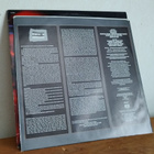 Afrika Bambaataa And Family – The Light LP - pikkukuva 4