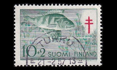 443 o Tuberkuloosi ahven loisto Turku 21.2.57 (1955)