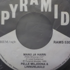 PELLE MILJOONA & LINNUNLAULU - DAZVIDANIA AFGANISTAN EX 7" - pikkukuva 3