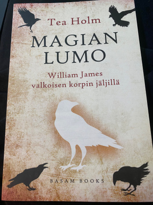Tea Holm: Magian lumo