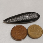 Luonnonkivi, Orthoceras-oikosarvifossiili - pikkukuva 2