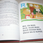 Mand - Kivi - Roosleht Karu-aabits - pikkukuva 4