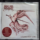 RIDE FOR REVENGE - Angels Fly Low CD - pikkukuva 1