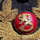 SA-ilmailukokardi. Ehjät laattapiikit. Kokardin koko: 83 mm. - pikkukuva 2