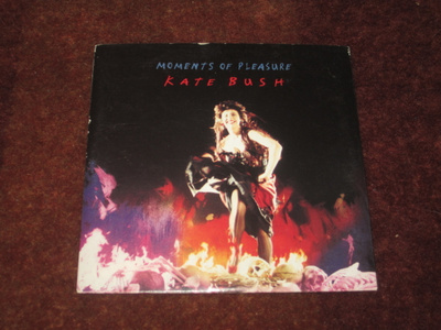 KATE BUSH - MOMENTS OF PLEASURE - CD SINGLE