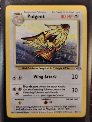 Pidgeot 8/ 64 holo