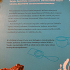 SUOMEN LASTEN RETKEILYOPAS - pikkukuva 2