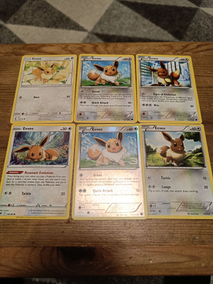 Eevee 6 kpl