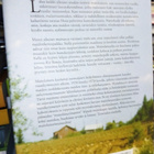 Laamanen :  Maitolaiturilla ( SIS POSTIKULU) SIGNED - pikkukuva 2