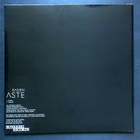 Radien – Aste LP (2019) - pikkukuva 2