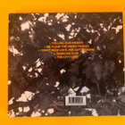 The Radio Dept. – Pulling Our Weight CD - pikkukuva 2