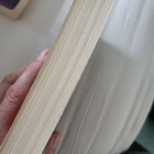 David Baldacci Kaappaus - pikkukuva 3