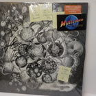 LONG DISTANCE CALLING - LONG DISTANCE CALLING M-/EX- LP - pikkukuva 1