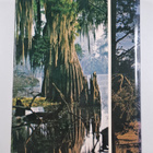 Scenic Wonders of America - Reader's Digest : An Illustra... - pikkukuva 2