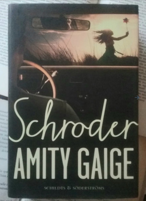 Amity Gaige - Schroder (sid.)
