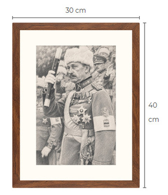 Uusi Mannerheim art print kehystetty 30 cm x 40 cm