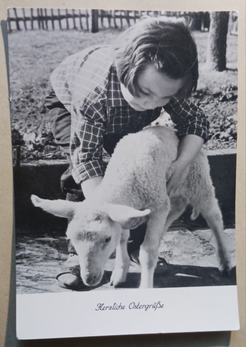 Pikkutyttö hoivaa karitsaa, Pääsiäispk, DDR p. 1966