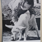 Pikkutyttö hoivaa karitsaa, Pääsiäispk, DDR p. 1966 - pikkukuva 1
