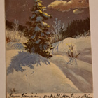 E.Kojine, kuusi kuutamossa, kulkenut 1952 - pikkukuva 1