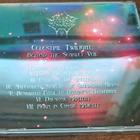 SILENT MILLENNIA Celestial twilight: Beyond the scarlet veil - pikkukuva 2
