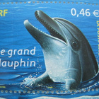 Postimerkkiarkki Animaux Marins  RF - pikkukuva 5