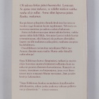Sirpa Kähkönen : Rautayöt - pikkukuva 2