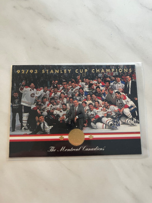1993-94 Leaf #100 Montreal Canadiens, Patrick Roy
