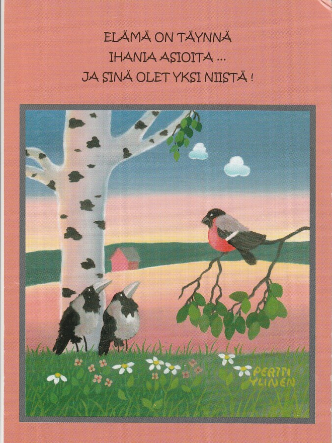 PERTTI YLINEN - KAKSI VARISTA JA PUNATULKKU
