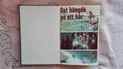 Det hängde på ett hår (Överlevnads-berättelser)