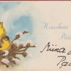 Stina Broome Linnunpesä pajunoksilla - sij kortti - pikkukuva 1