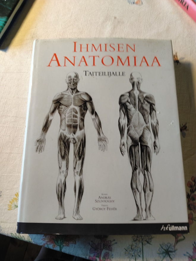 ihmisen anatomia taiteilijoille