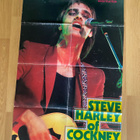 Teddy & The Tigers ja Steve Harley & Cockney Rebel juliste - pikkukuva 2