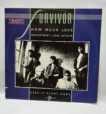 12" Maxisingle, Survivor: How much love