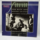 12" Maxisingle, Survivor: How much love - pikkukuva 1