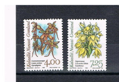 Grönlanti 1995 - Orkidea (2)  ++