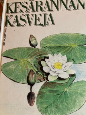 LEINONEN: KESÄRANNAN KASVEJA